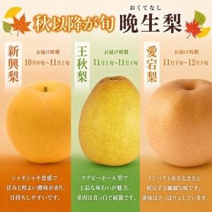 ふるさと納税 【2026年産】先行予約 梨 晩...の詳細画像1