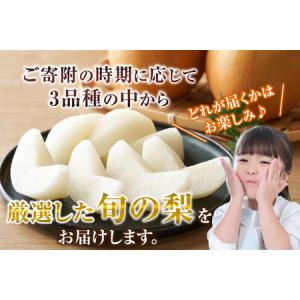 ふるさと納税 【2026年産】先行予約 梨 晩...の詳細画像2