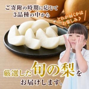 ふるさと納税 【2026年産】先行予約 梨 晩...の詳細画像2