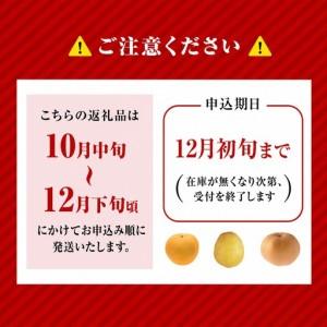ふるさと納税 【2026年産】先行予約 梨 晩...の詳細画像3