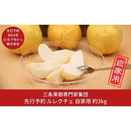 ふるさと納税 先行予約 ル レクチェ 自家用 約3kg (5〜11玉) [11月下旬から発送予定] ...