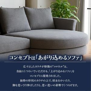 ふるさと納税 【選べる張地】COLOルーミーカ...の詳細画像1