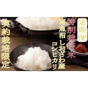 ふるさと納税 【令和7年産】※定期便：20Kg×12ヶ月※特別栽培 生産者限定 南魚沼しおざわ産コシヒカリ【定期便 銘柄米 ブランド米 精米 .. 新潟県南魚沼市