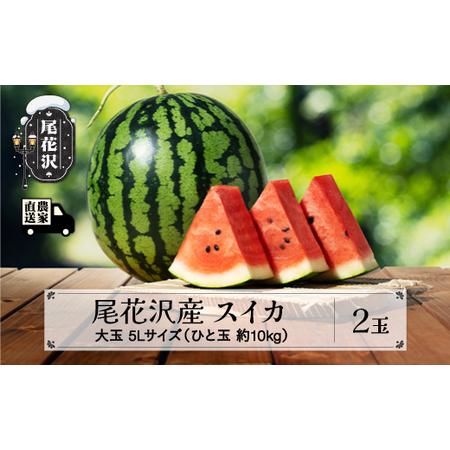 ふるさと納税 先行予約 スイカ すいか 尾花沢産スイカ 5Lサイズ 約10kg×2玉 7月下旬〜8月...
