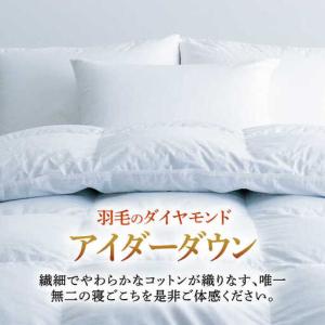 ふるさと納税 羽毛布団 本掛け セミダブル ア...の詳細画像1