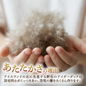 ふるさと納税 羽毛布団 本掛け セミダブル ア...の詳細画像2