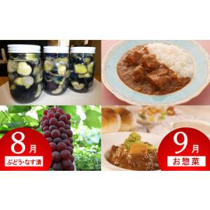 ふるさと納税 《定期便12回》 南陽市商工会女...の詳細画像4