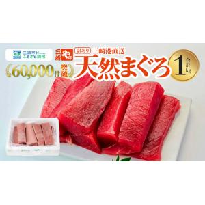 ふるさと納税 A11-023 （徳用）老舗三崎まぐろ問屋から直送！天然マグロ赤身１ｋｇ