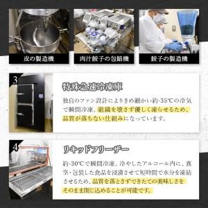 ふるさと納税 薬膳麻婆豆腐(2人前) ふるさと...の詳細画像3