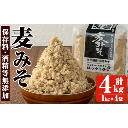 ふるさと納税 No.3351 無添加みそ 麦みそ(1kg×3袋)国産 九州 味噌 みそ 甘酒 無添加...