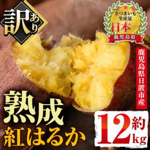 ふるさと納税 鳴門市 【先行受付中・2026年10月頃より順次発送