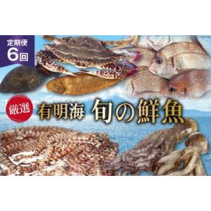 ふるさと納税 AG065【定期便】有明海 旬の鮮魚 漁協お...