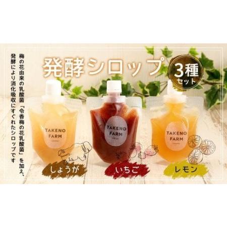 ふるさと納税 発酵 シロップ 3種 しょうが ・ レモン ・ いちご (150cc×1パック) 福岡...