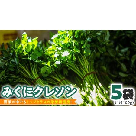 ふるさと納税 【 先行予約 】 みくにクレソン100g×5袋 美容 健康 野菜 スーパーフード [C...