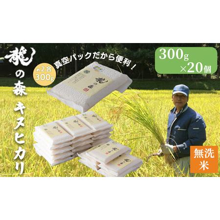 ふるさと納税 041N562 龍の森 真空パック無洗米 キヌヒカリ 20個[高島屋選定品］ 京都府南...