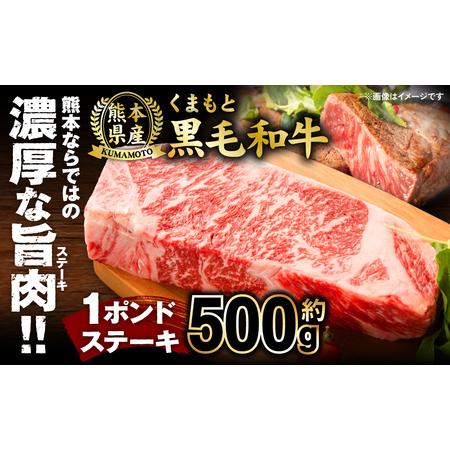 ふるさと納税 くまもと黒毛和牛 1ポンド ステーキ 約500g 牛肉 肉 熊本県八代市