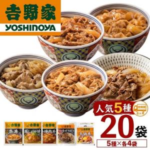 ふるさと納税 【定期便 ６ヶ月】吉野家 人気５種２０袋バラエティセット吉野家 新潟県十日町市