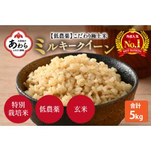 ふるさと納税 【先行予約】【令和6年産新米】ミルキークイーン 玄米 5kg  特別栽培米 低農薬 《食味値85点以上！こだわり無洗米》 / 福井県 あ.. 福井県あわら市