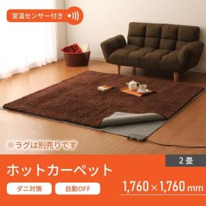 ナカガワ工業 アルミパネルヒーター icoro イコロ i-500 電気 ヒーター