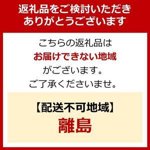 ふるさと納税 超吸収ペットシーツ ダブルワイド...の詳細画像3