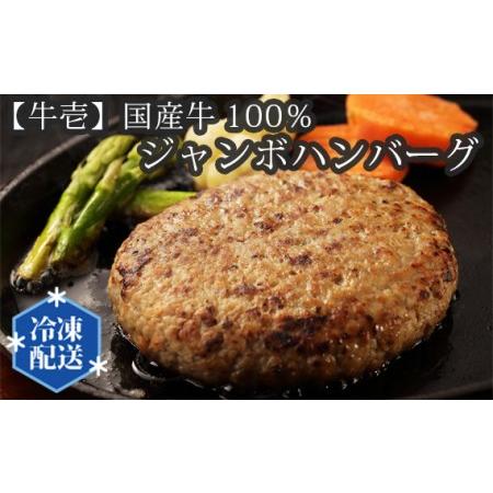 ふるさと納税 No.196 【牛壱】国産牛100％ジャンボハンバーグ3個　300ｇ×3個 大阪府藤井...