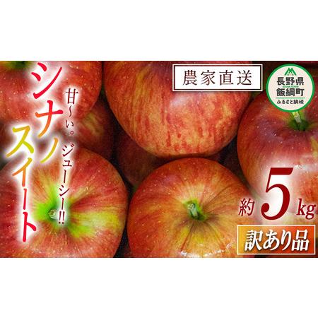 ふるさと納税 りんご シナノスイート 訳あり 5kg 令和6年度収穫分 沖縄県への配送不可 2024...