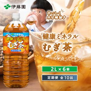 ふるさと納税 『定期便：全10回』健康ミネラルむぎ茶2L×6本【50001301】 北海道恵庭市