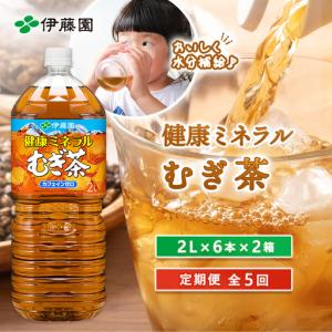 ふるさと納税 『定期便：全5回』健康ミネラルむぎ茶2L×6本×2箱【50001801】 北海道恵庭市