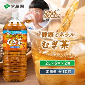 ふるさと納税 『定期便：全10回』健康ミネラルむぎ茶2L×6本×2箱【50002201】 北海道恵庭市