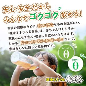 ふるさと納税 『定期便:全10回』健康ミネラル...の詳細画像1