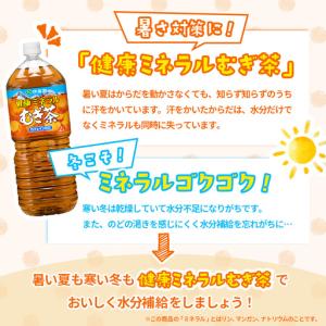 ふるさと納税 『定期便:全10回』健康ミネラル...の詳細画像3