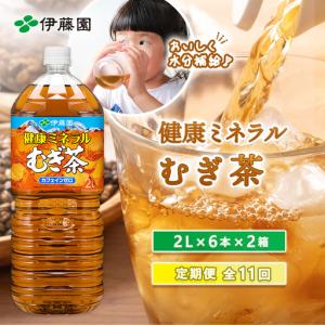 ふるさと納税 『定期便：全11回』健康ミネラルむぎ茶2L×6本×2箱【50002301】 北海道恵庭市