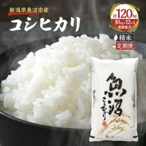 ふるさと納税 【定期便：雪国逸品 精米10kg×12ヶ月】越後魚沼郷 魚沼産コシヒカリ お米 人 自然調和 ミネラル 奇跡 自然環境 努カ 香り つ.. 新潟県魚沼市