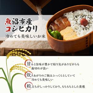 ふるさと納税 【定期便:雪国逸品 精米10kg...の詳細画像1