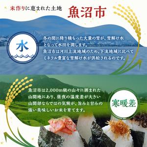 ふるさと納税 【定期便:雪国逸品 精米10kg...の詳細画像2