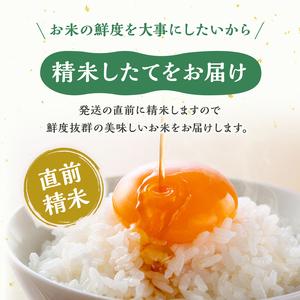 ふるさと納税 【定期便:雪国逸品 精米10kg...の詳細画像3