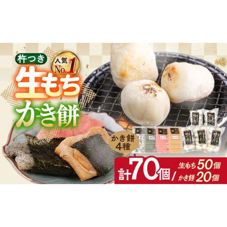 ふるさと納税 【1月以降発送】築上町産 本格 杵つき 生もち ＋ かき餅 セット 5種類（9袋）《築...