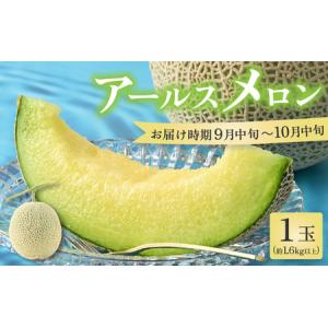 ふるさと納税 【先行予約】秋 アールスメロン 1...の商品画像