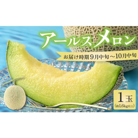ふるさと納税 【先行予約】秋 アールスメロン 1玉（約1.6kg以上）青肉品種 高級メロン！ ／ マ...