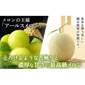 ふるさと納税 【先行予約】秋 アールスメロン ...の詳細画像1