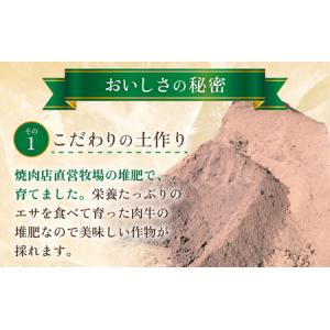 ふるさと納税 【先行予約】秋 アールスメロン ...の詳細画像2