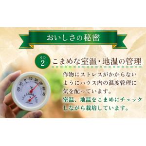 ふるさと納税 【先行予約】秋 アールスメロン ...の詳細画像3