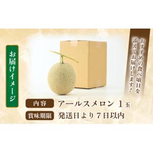 ふるさと納税 【先行予約】秋 アールスメロン ...の詳細画像4