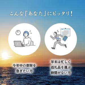 ふるさと納税 あとから選べる返礼品【50万円コ...の詳細画像1
