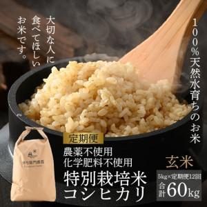 ふるさと納税 【先行予約】【令和8年産 新米】《...の商品画像