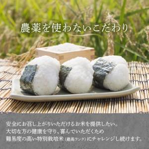 ふるさと納税 【先行予約】【令和8年産 新米】...の詳細画像1