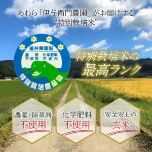 ふるさと納税 【先行予約】【令和8年産 新米】...の詳細画像2