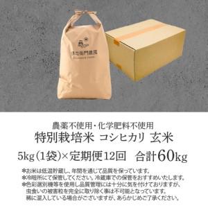 ふるさと納税 【先行予約】【令和8年産 新米】...の詳細画像4