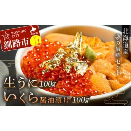 ふるさと納税 塩水うに (生ウニ) 100g いくら 昆布醤油漬け 100g F4F-1572 北海...