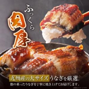 ふるさと納税 Z61-71 国産 うなぎ 蒲焼...の詳細画像1